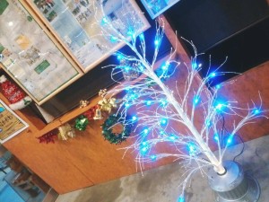 15036615_888819001220324_7140748040354608572_n