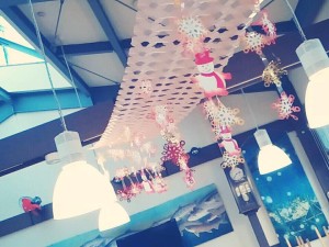 15037343_888819187886972_405505663095368444_n